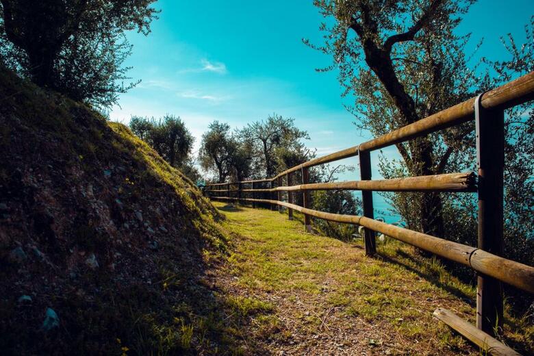 Residencia Domina Borgo Degli Ulivi - Lake Garda