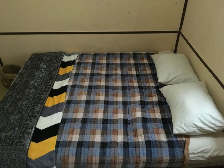 Bed & Breakfast Arut Riverside Orangutan Guest House