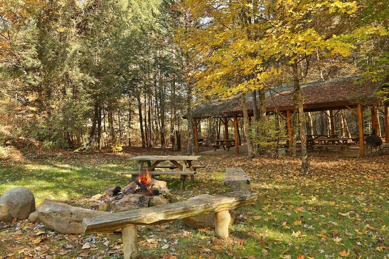 Skinny Dippin - One Bedroom Cabin