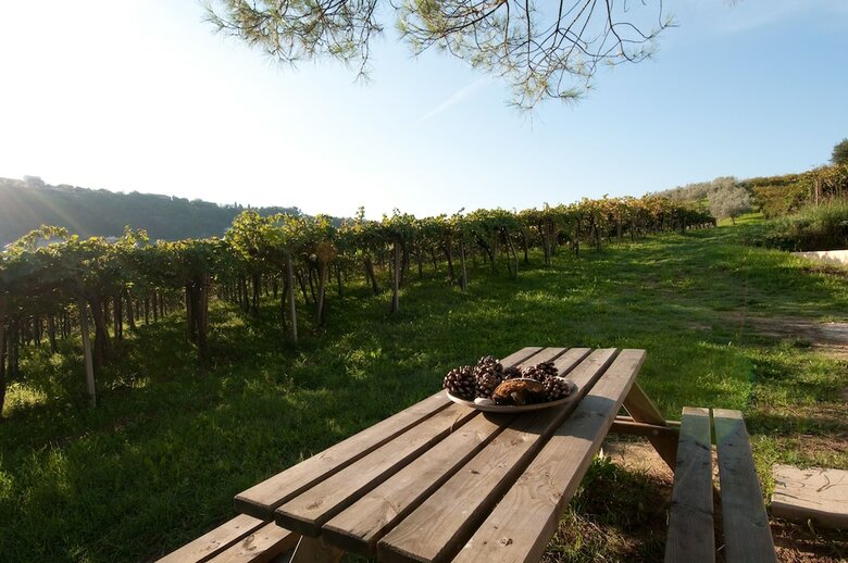 Agroturismo Agriturismo Casa Dell'orto