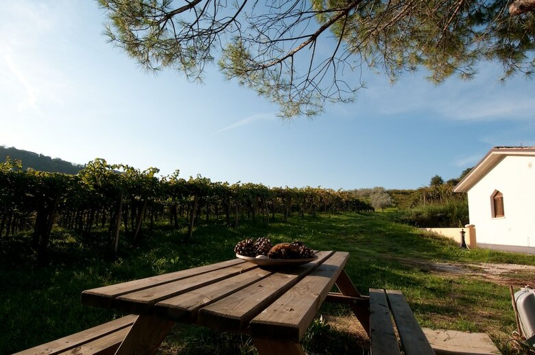 Agroturismo Agriturismo Casa Dell'orto