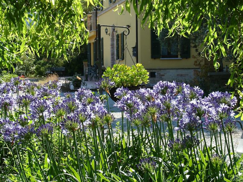 Bed & Breakfast Il Melograno
