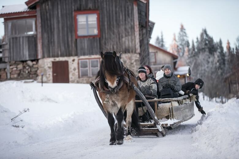 Fryks�s Hotell & Gestgifveri