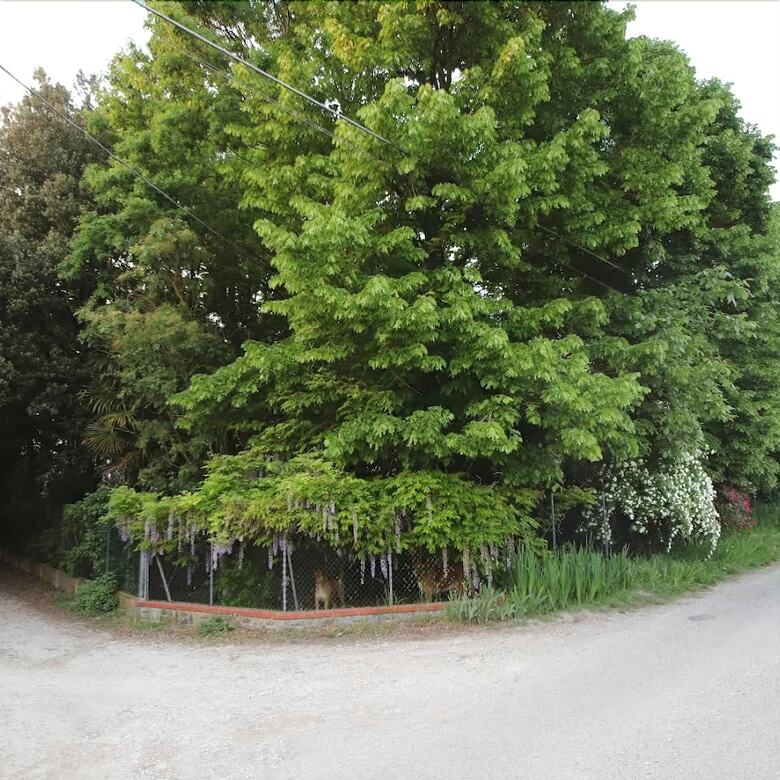 Bed & Breakfast La Casa Nel Bosco