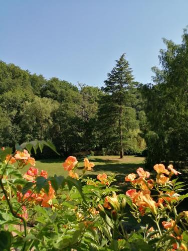 Bed & Breakfast Domaine De La Brugere
