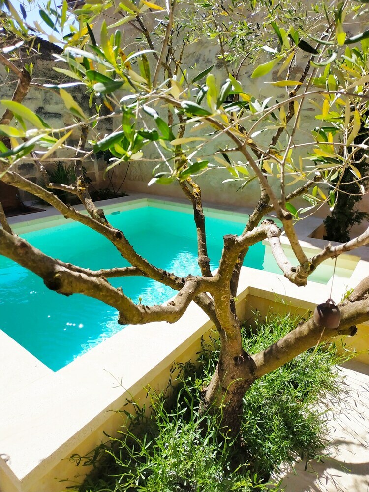 Bed & Breakfast Les Terrasses