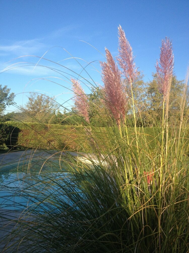 Bed & Breakfast La Vignarelle