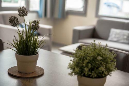 Apartamento Holiday Suites Bray-dunes Peupliers