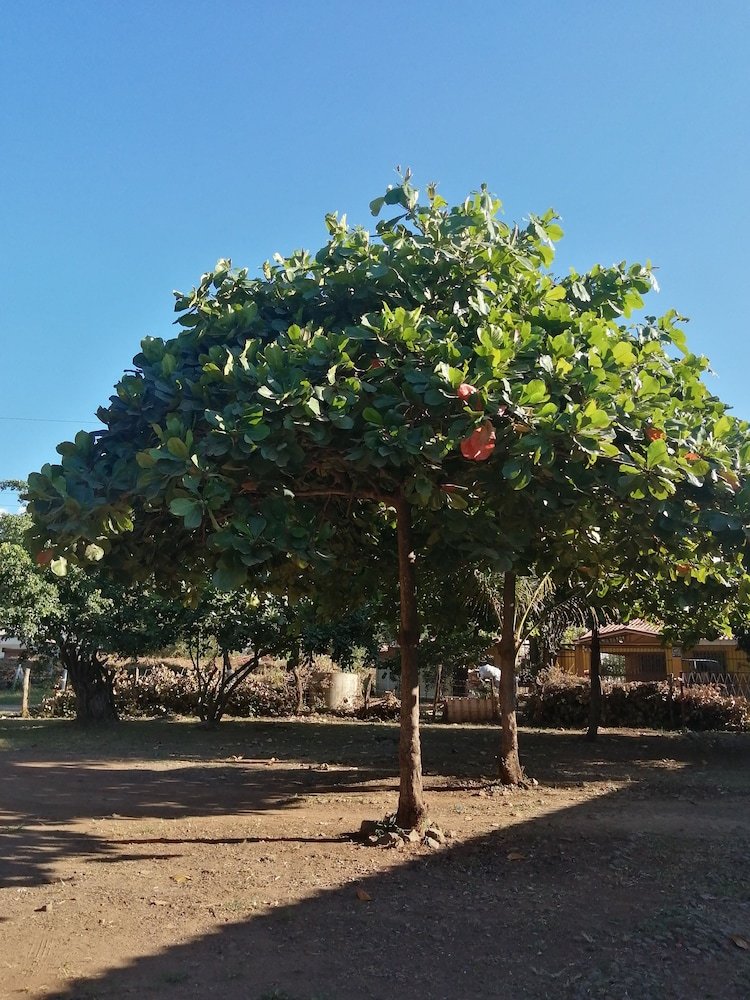Las Quintas Monkey Lookout & Rural House