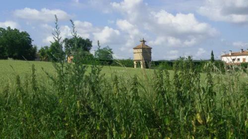 Bed & Breakfast Roulotte Zelena Hora