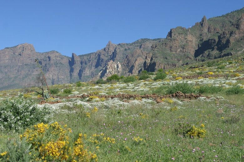 Agroturismo Casa Rural La Monta�eta