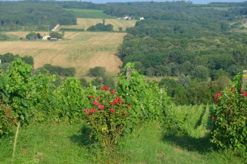 Bed & Breakfast Maison D'h�tes Rouge Bordeaux