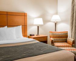 Hotel Comfort Inn Metro Airport