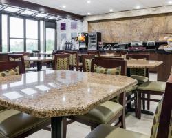 Hotel Comfort Inn Metro Airport