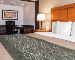 Hotel Comfort Inn Metro Airport