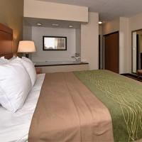 Hotel Comfort Inn Metro Airport