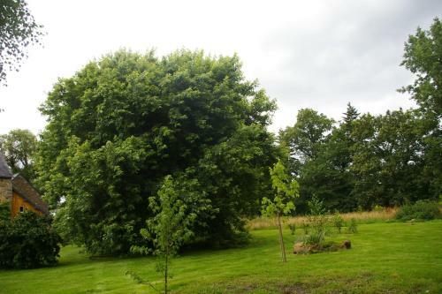 Bed & Breakfast Chambre D'h�tes De Pirieuc