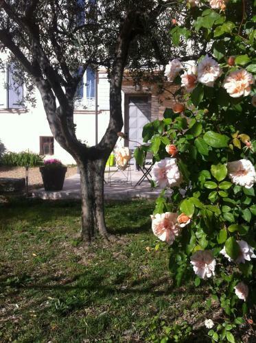 Bed & Breakfast Maison D'h�tes Le Jas Vieux