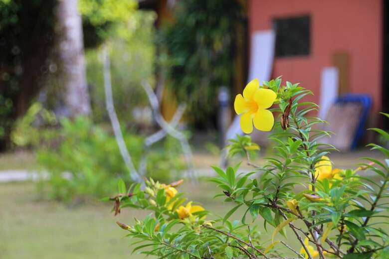 Hotel Koh Kood Far East Resort