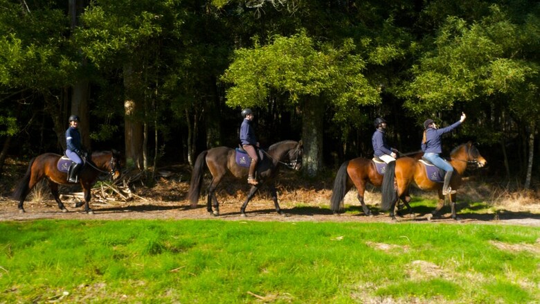 Agroturismo Cerquido Village