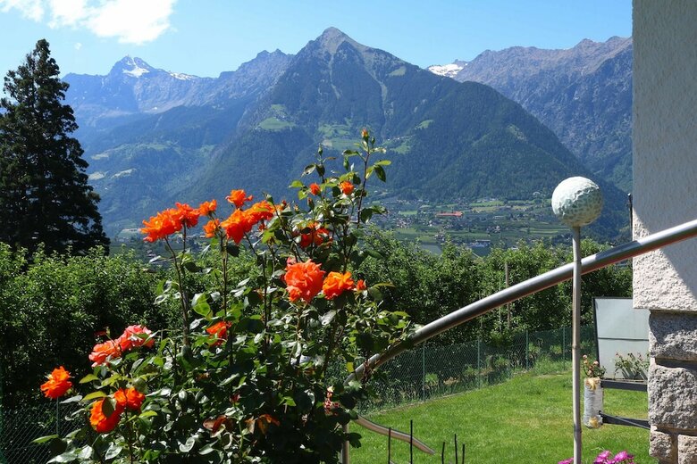 Guesthouse Pension Grafenstein