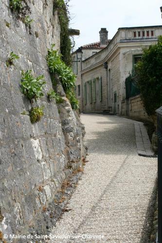 Hotel Le Saint Savinien
