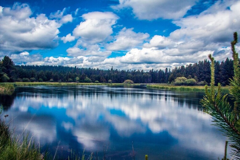 Mcnary 18
