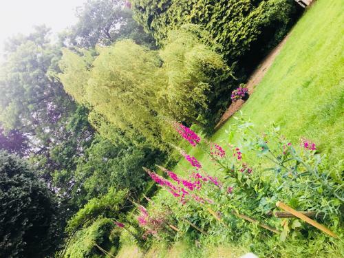 Bed & Breakfast Le Plein Air
