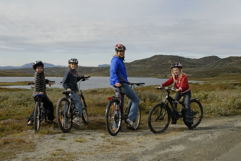 Hotel R�dungst�l H�yfjellshotell
