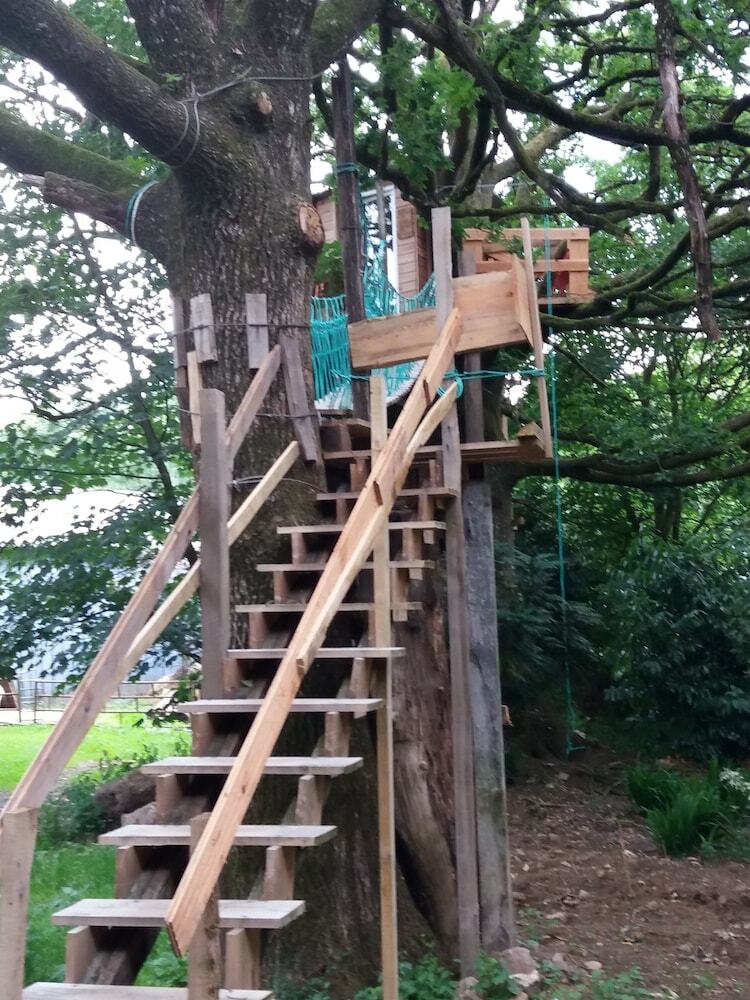 Cabane Dans Les Arbres - Le Nid Dans Le Ch�ne