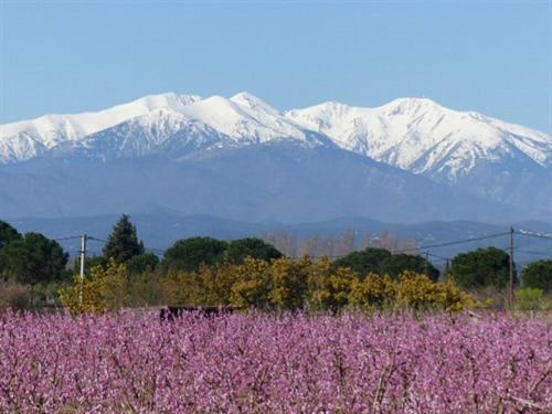 Bed & Breakfast Ch�teau D'ortaffa