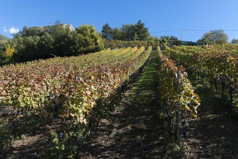 Agroturismo Agriturismo Gli Elfi