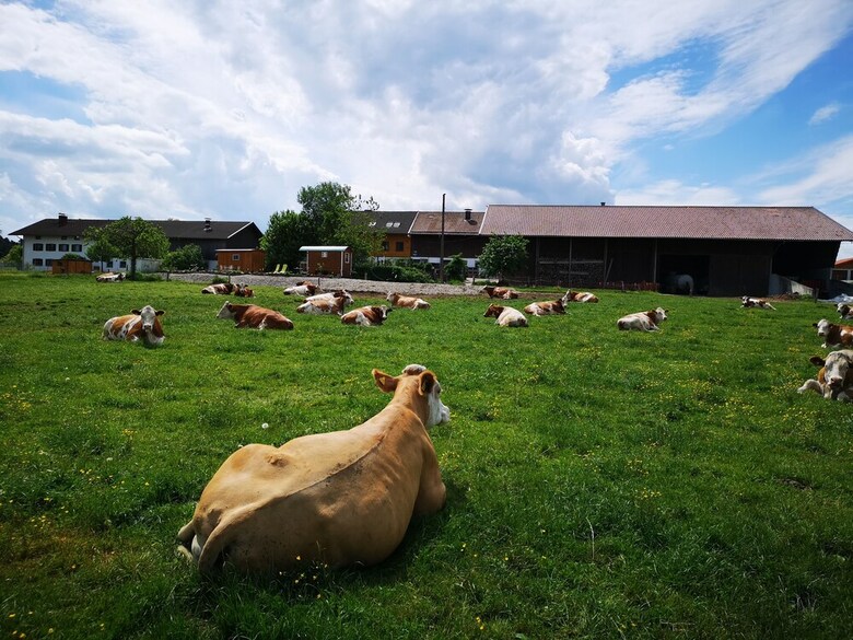 Agroturismo Ferienparadies Reifnhof