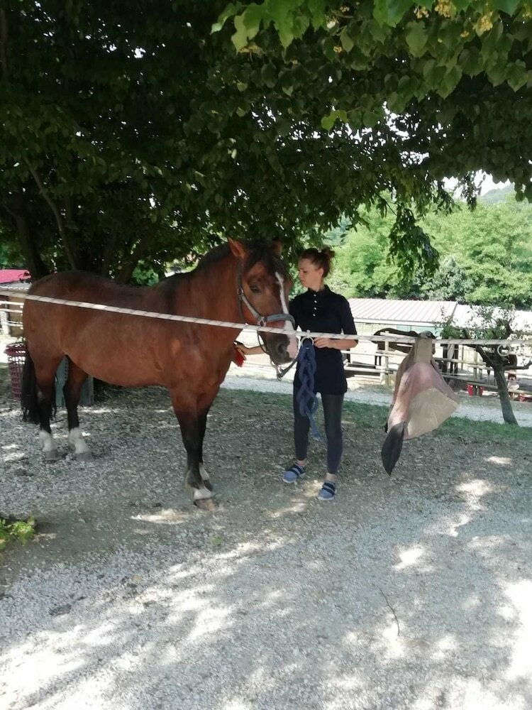 Agroturismo Agriturismo Ai Gradoni