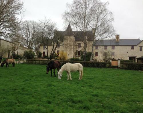 Bed & Breakfast Chambres D'h�tes Le Prince Grenouille