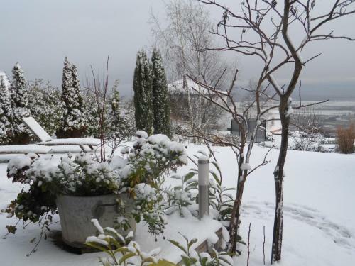 Bed & Breakfast Chambres D'h�tes Rachelle Schneider