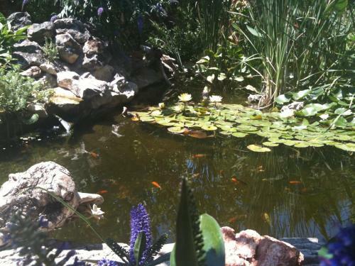 Bed & Breakfast � Doux S'home