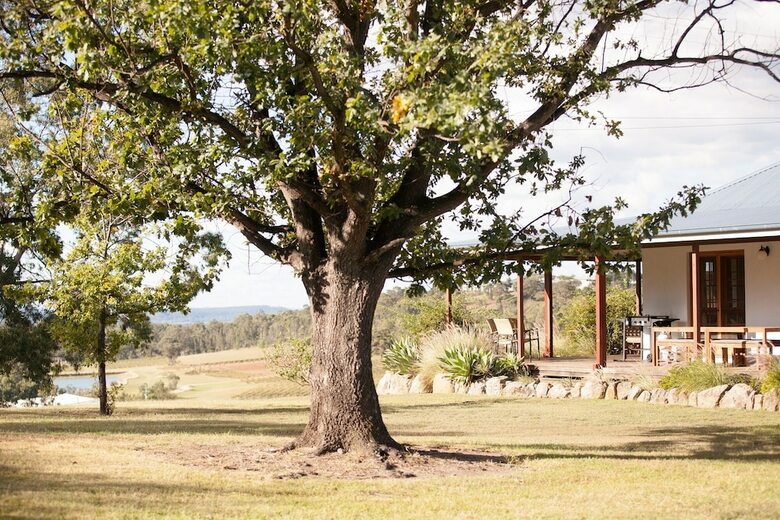 Audrey Wilkinson Vineyard