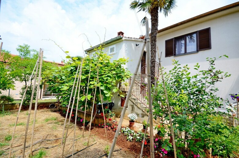Apartment Dra?en