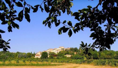 Bed & Breakfast La Maison Du Passage - Chambres Avec Restaurant & Spa -
