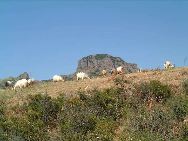 Agroturismo L'oasi Del Cervo