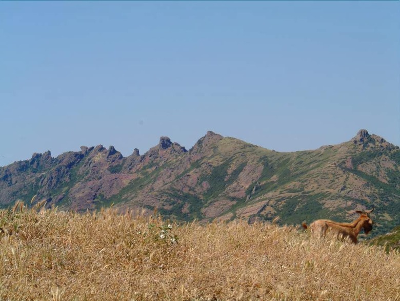 Agroturismo L'oasi Del Cervo