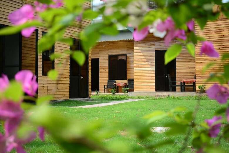 Hostal The Art - Golden Jungle House