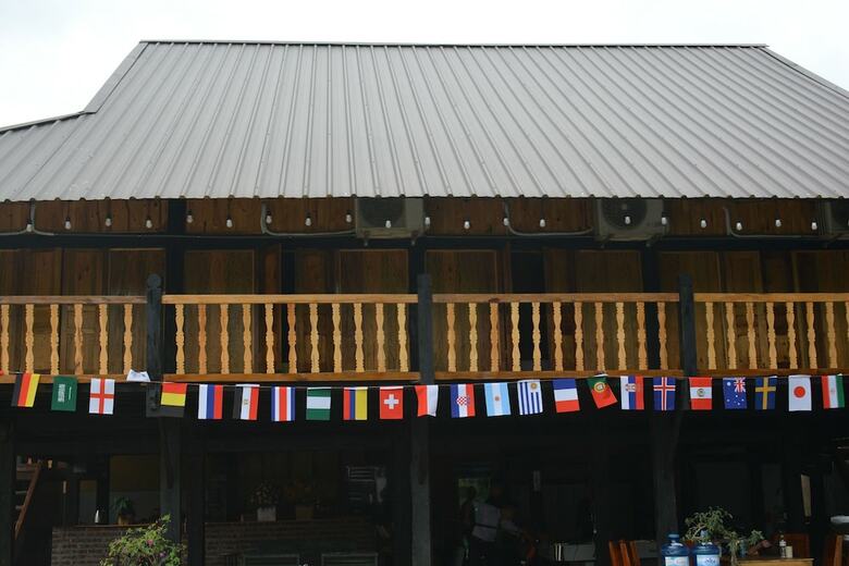 Hostal The Art - Golden Jungle House