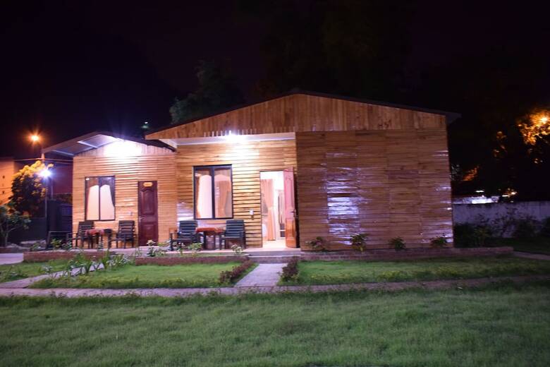 Hostal The Art - Golden Jungle House