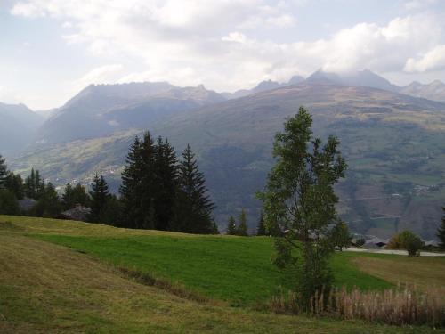 Chalet Les Gentianes