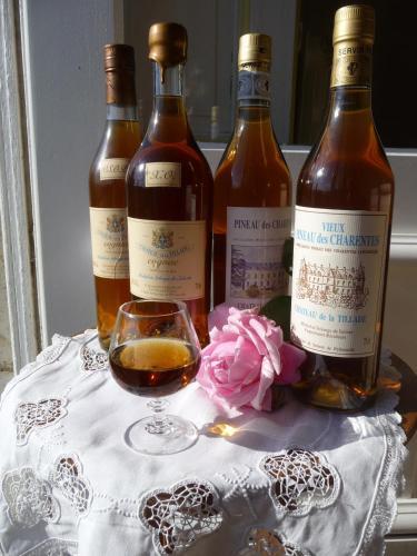 Bed & Breakfast Ch�teau De La Tillade