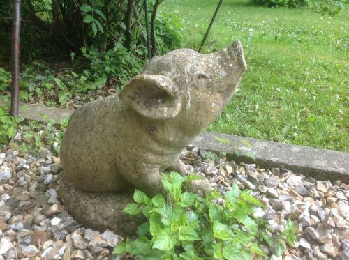 Bed & Breakfast Au Fond Du Jardin Maison D'h�tes