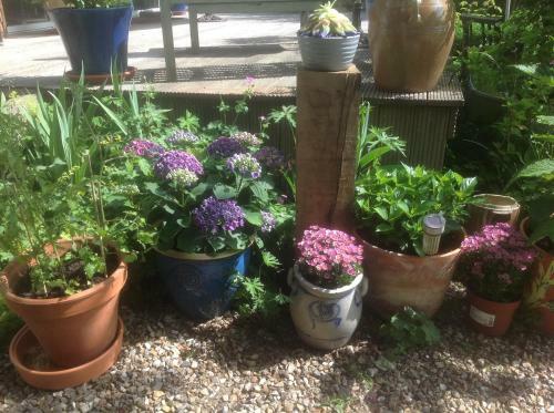 Bed & Breakfast Au Fond Du Jardin Maison D'h�tes