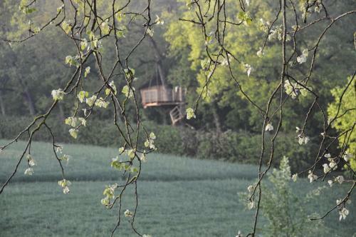 Bed And Breakfast - Ch�teau Du Vau